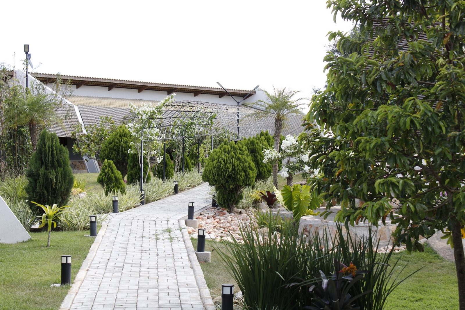 Garden walkway of rectangular brick-shaped concrete pavers laid in a straight path with lamp posts
