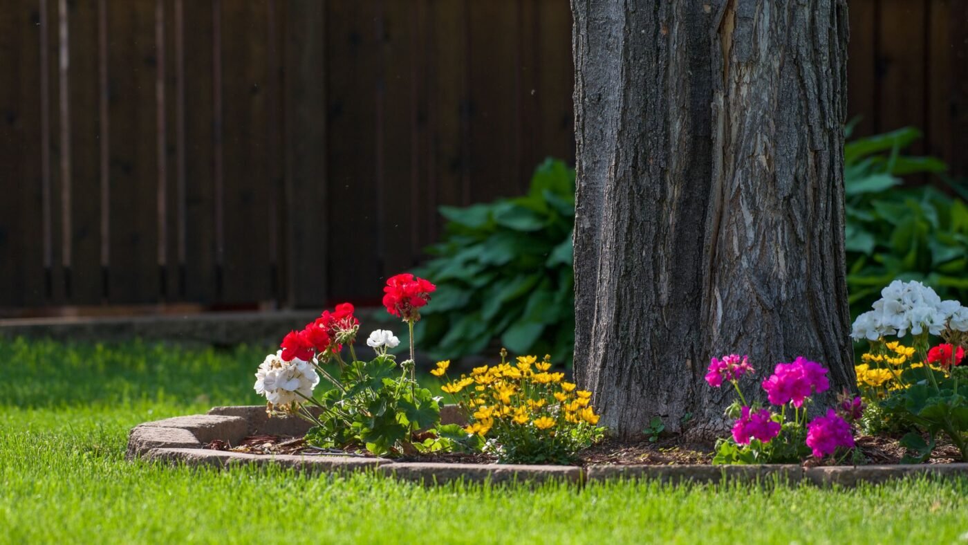 Curved ring of concrete edging stones around a tree bed with flowers, separating the mulch from the lawn