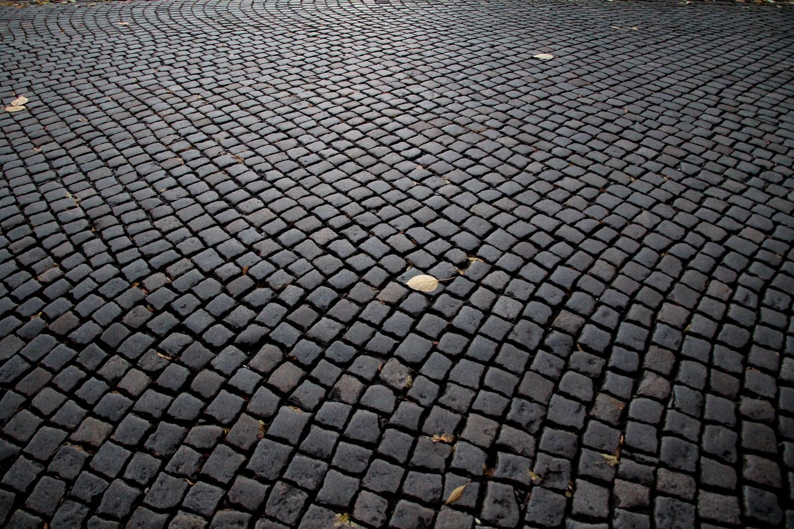 Dark cobblestone pavement laid in sweeping curved arcs, the traditional fan pattern used for small granite setts