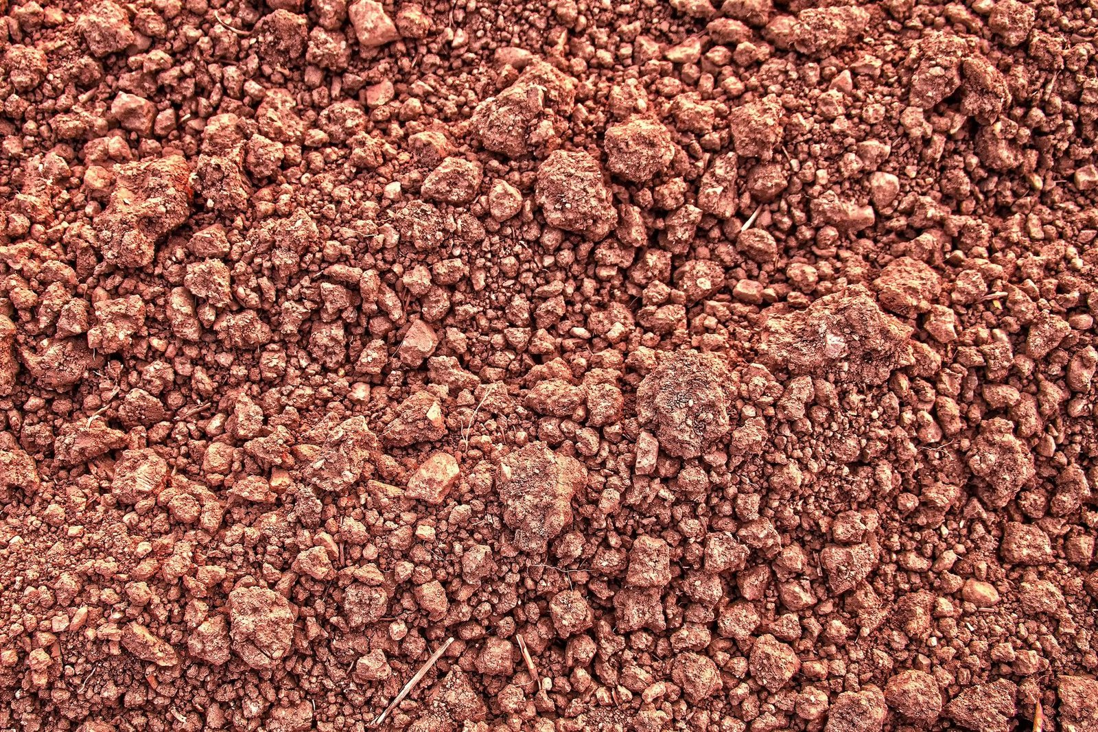 Close-up of reddish clay soil in lumps and crumbs, a cohesive soil that needs a rammer rather than a plate compactor
