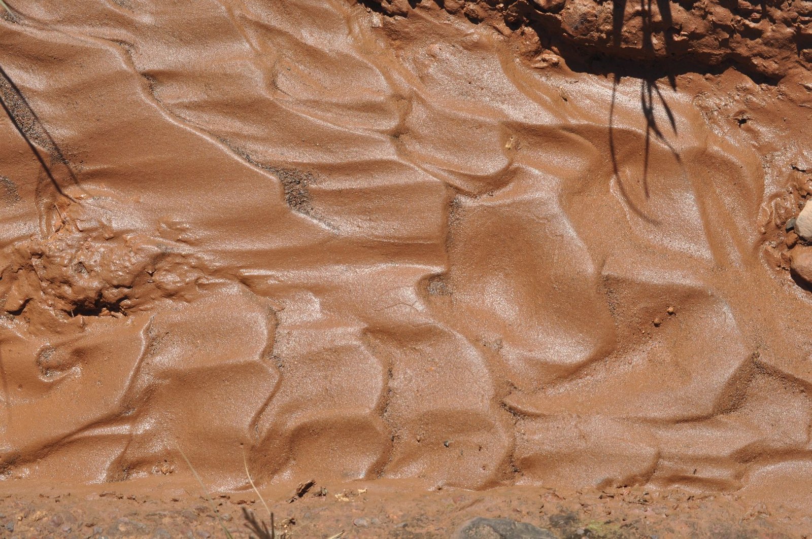 Wet, rippled clay soil with a glossy surface, too wet to compact without pumping and rutting
