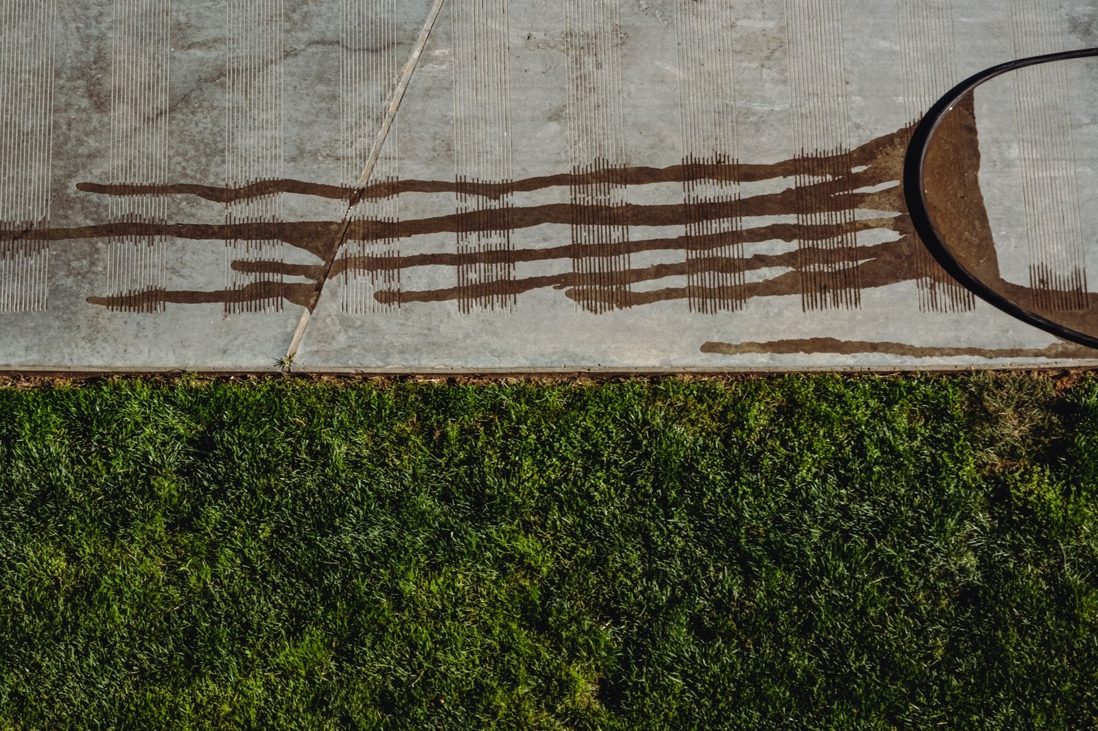 Concrete sidewalk slab edge meeting a lawn, the kind of straight slab edge a paver border butts against