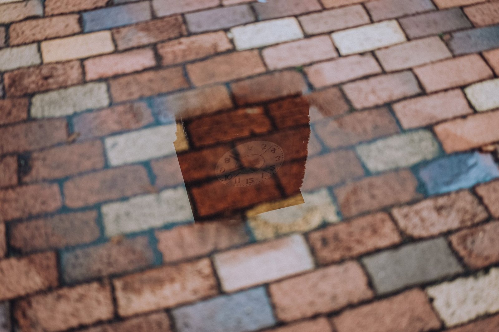 Wet multicolored brick paving with a rain puddle, the kind of standing water that can spot or whiten paver sealer that hasn't dried