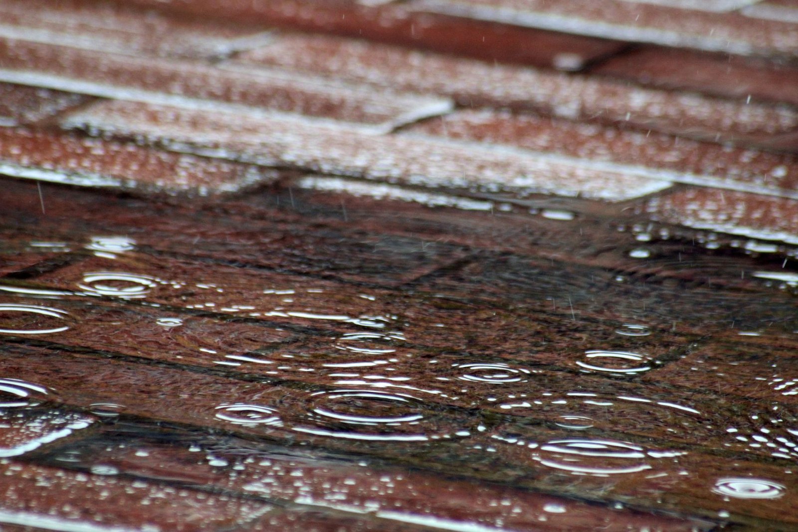 Raindrops splashing into puddles on wet red brick pavers during a rain shower