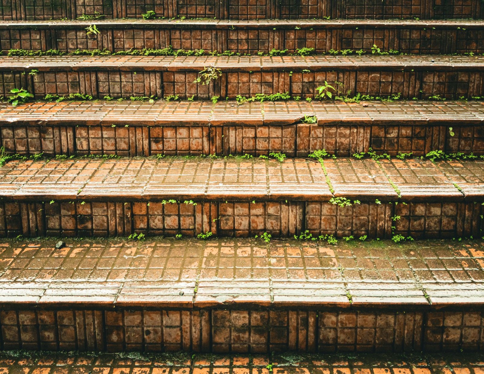 Close-up of brick paver steps with brick risers and paver treads, showing equal riser heights along a flight