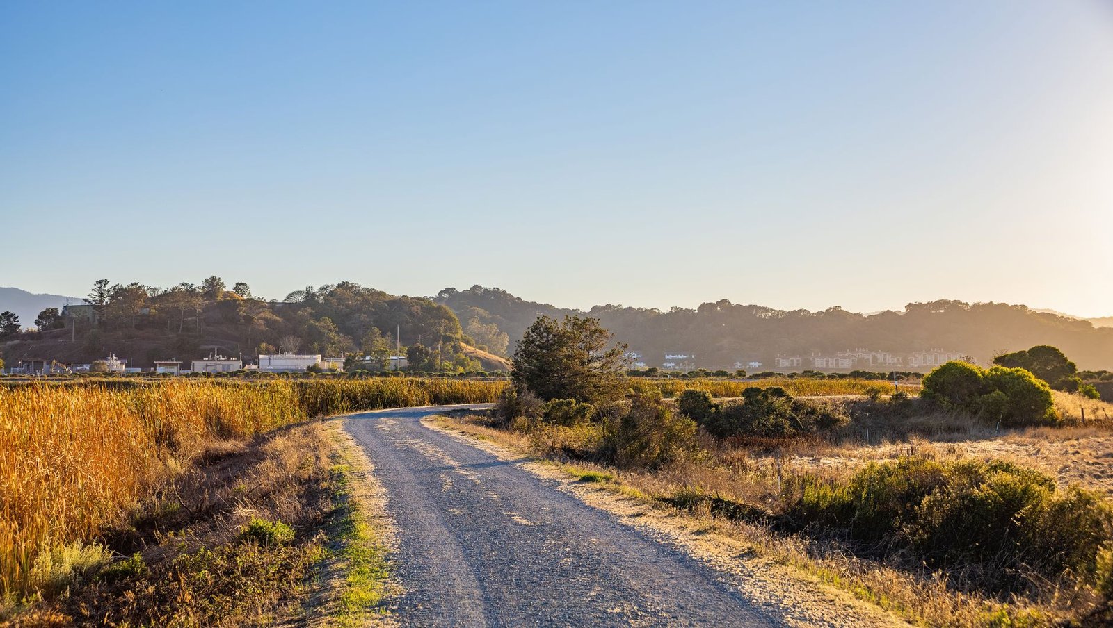 Crowned gravel road curving through dry grassland, showing how a compacted gravel driveway sheds water to its edges