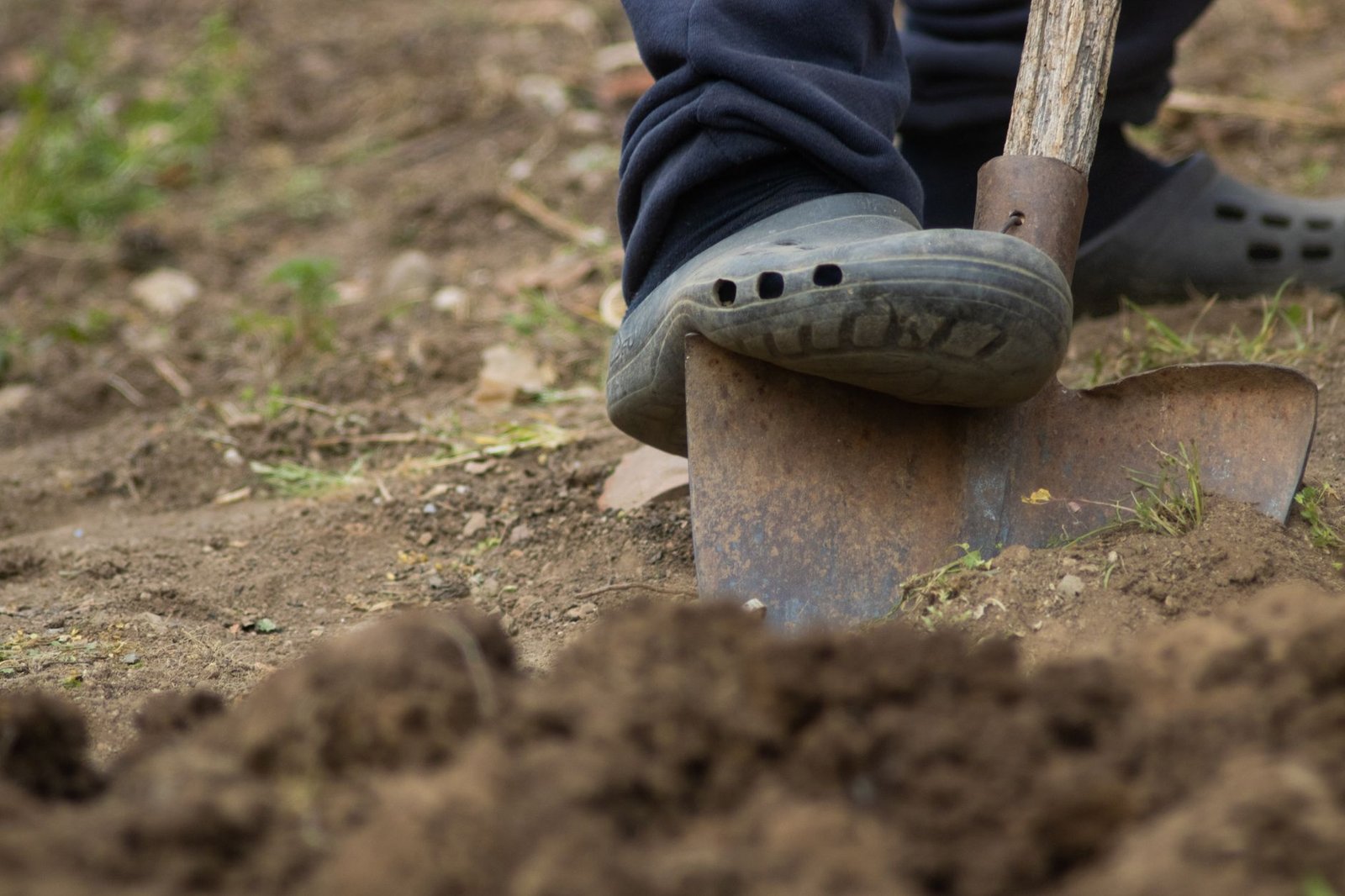 Foot pressing a spade into soil to dig out a hole for a stepping stone