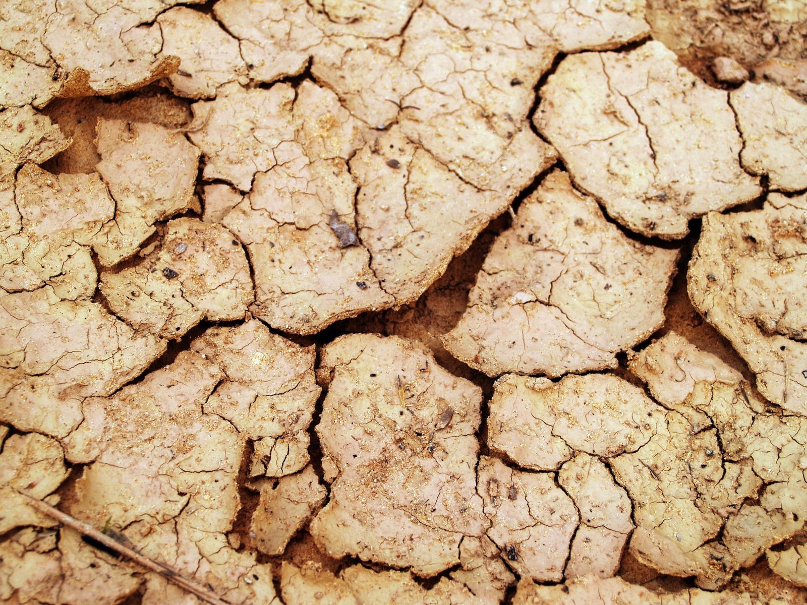 Close-up of dry cracked clay soil, the kind of subgrade where landscape fabric under a paver patio base is essential