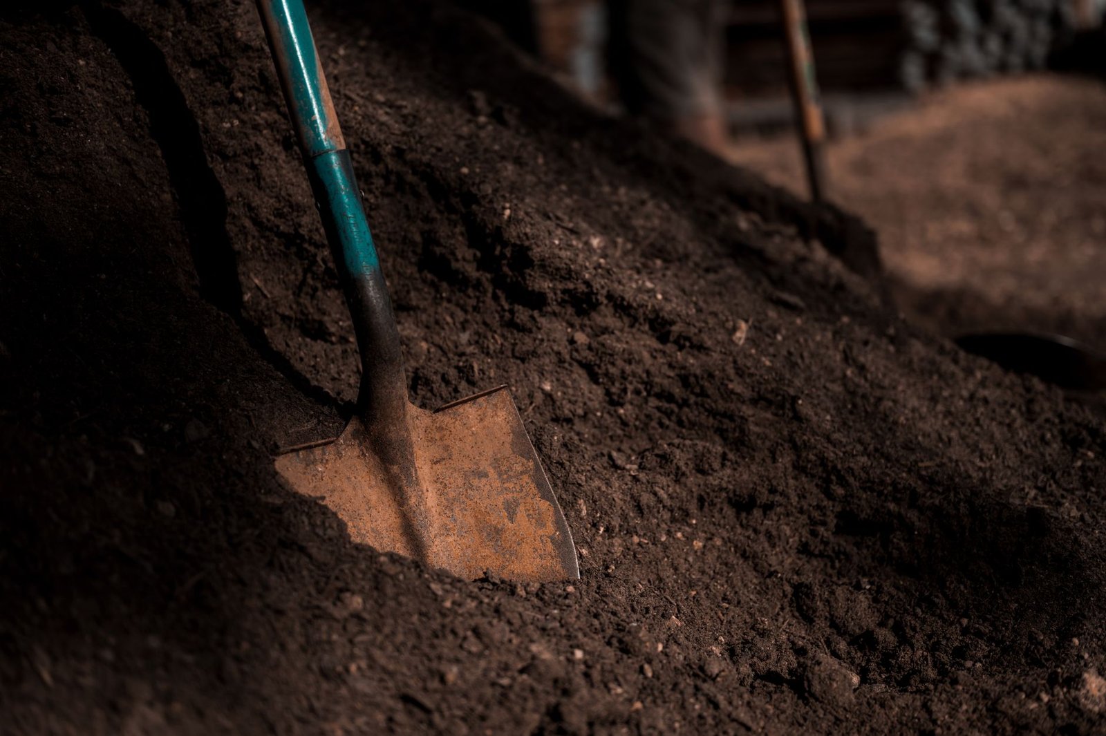 Shovel pushed into a pile of loose dark soil, the digging stage before laying pavers on dirt