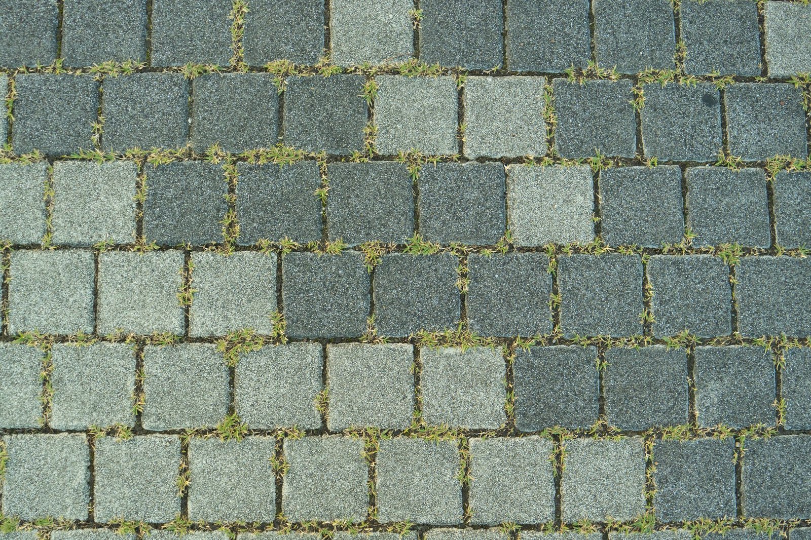 Gray pavers with grass and weeds sprouting from every joint, a common problem when pavers are laid on dirt