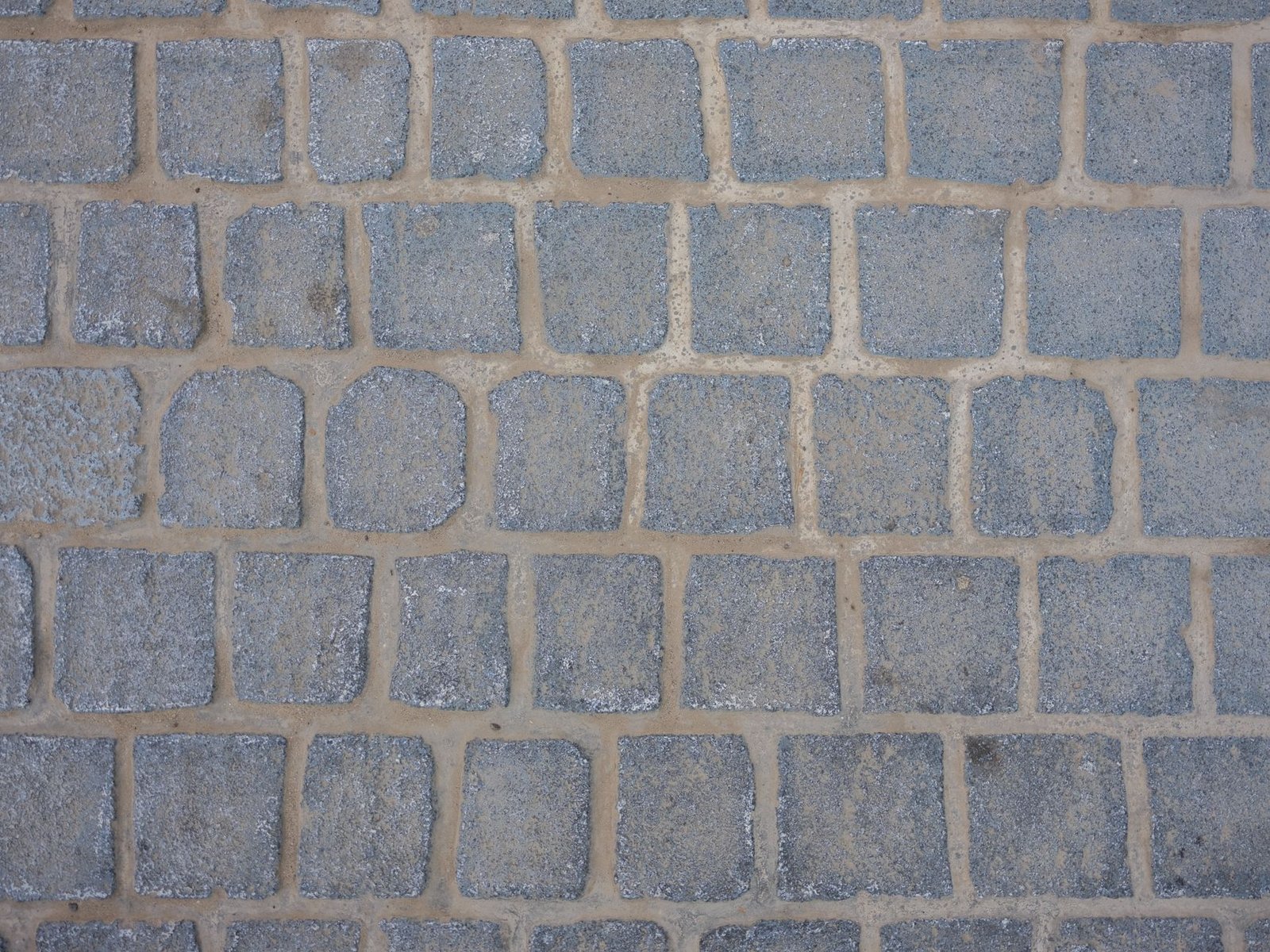 Close-up of square gray granite paving setts laid in rows with light mortar joints