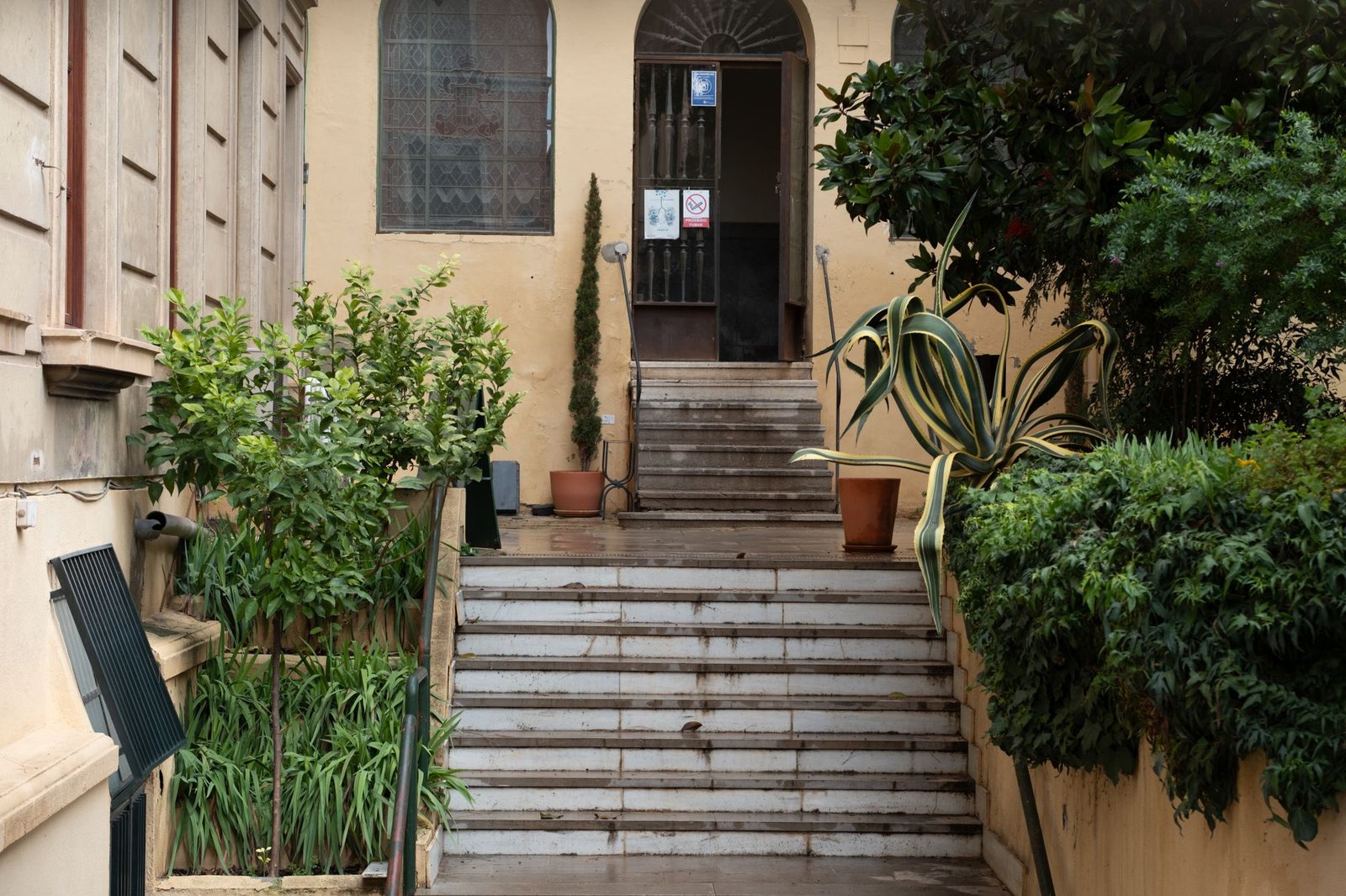 Stone-faced entry steps with rounded front edges on each tread leading up to a doorway