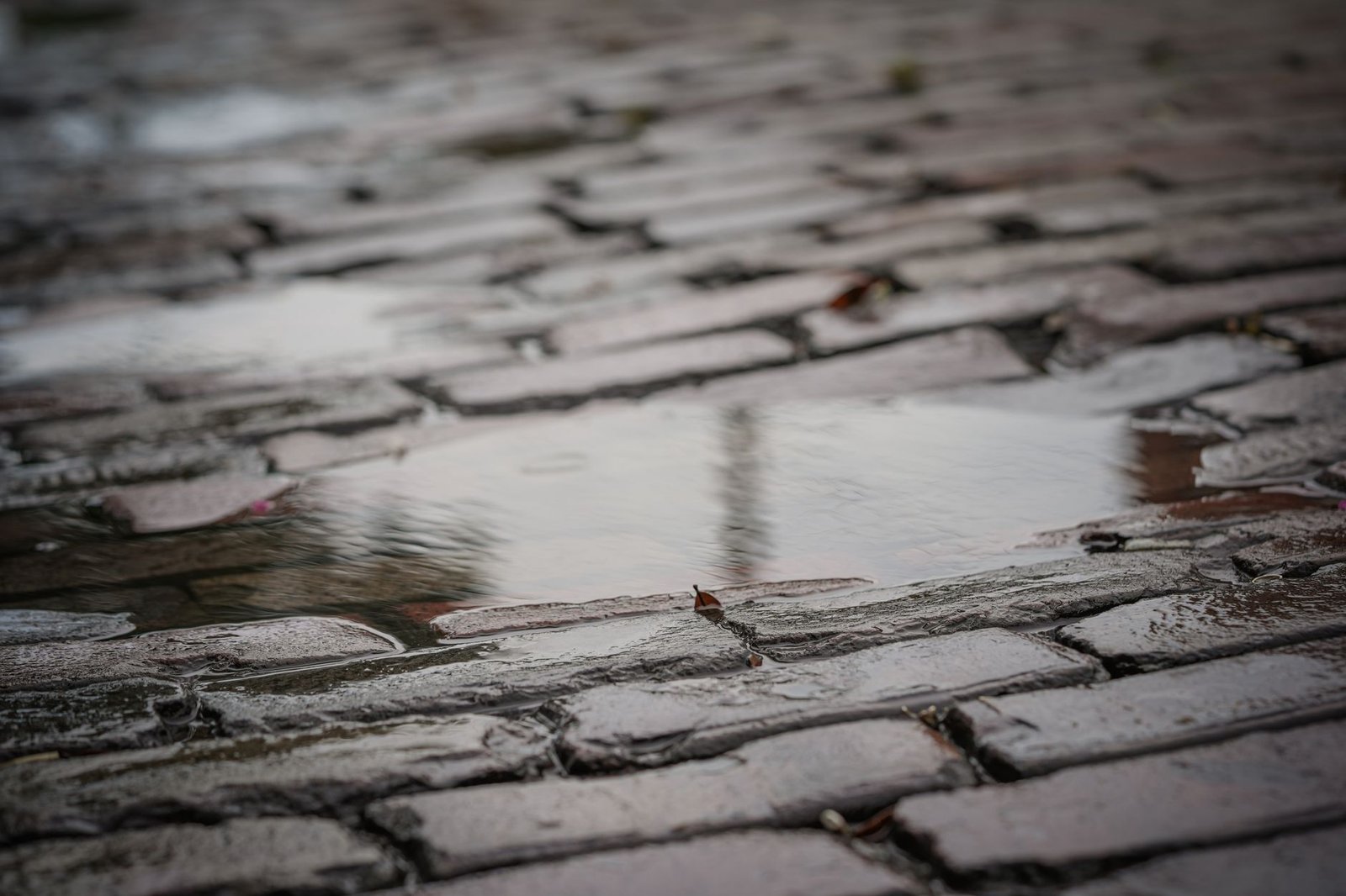 Rainwater ponding on a brick paver surface, a sign that patio drainage and slope are not working