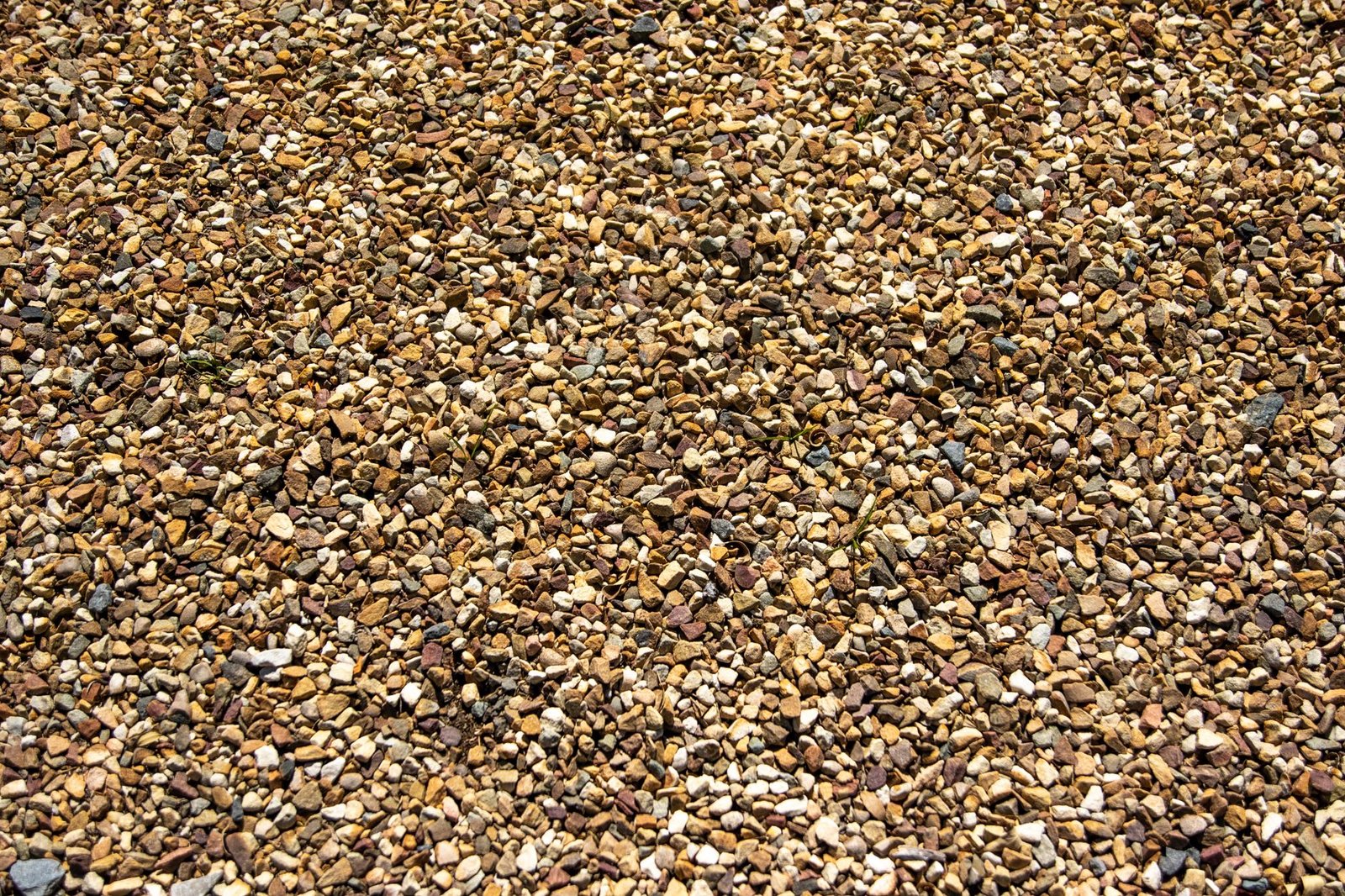 Close-up of small rounded pea gravel, which rolls instead of locking and should not be used as paver base material