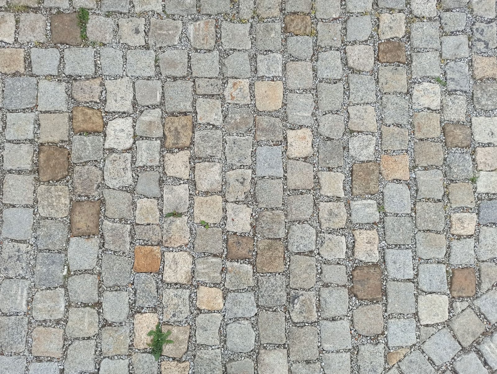 Blended pavers in gray, tan, brown and rust tones set with narrow gravel joints, showing how a multi-color blend hides dirt