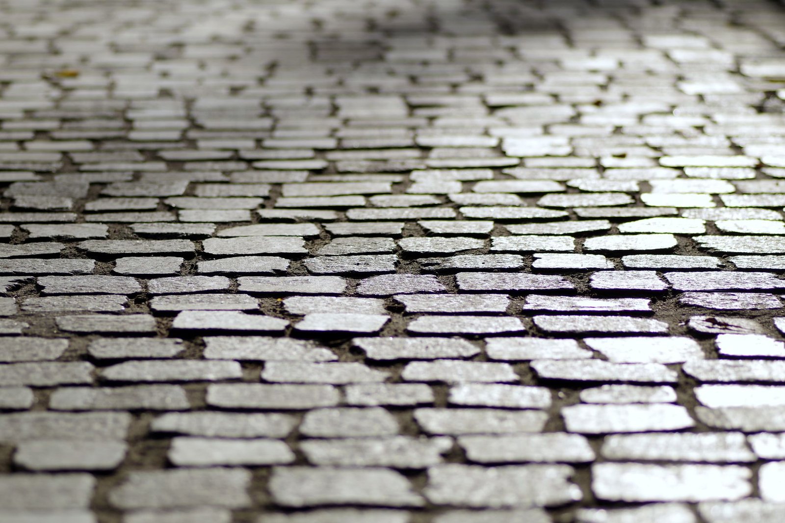Close-up of gray cobblestone pavers with narrow joints, a traditional driveway paving stone