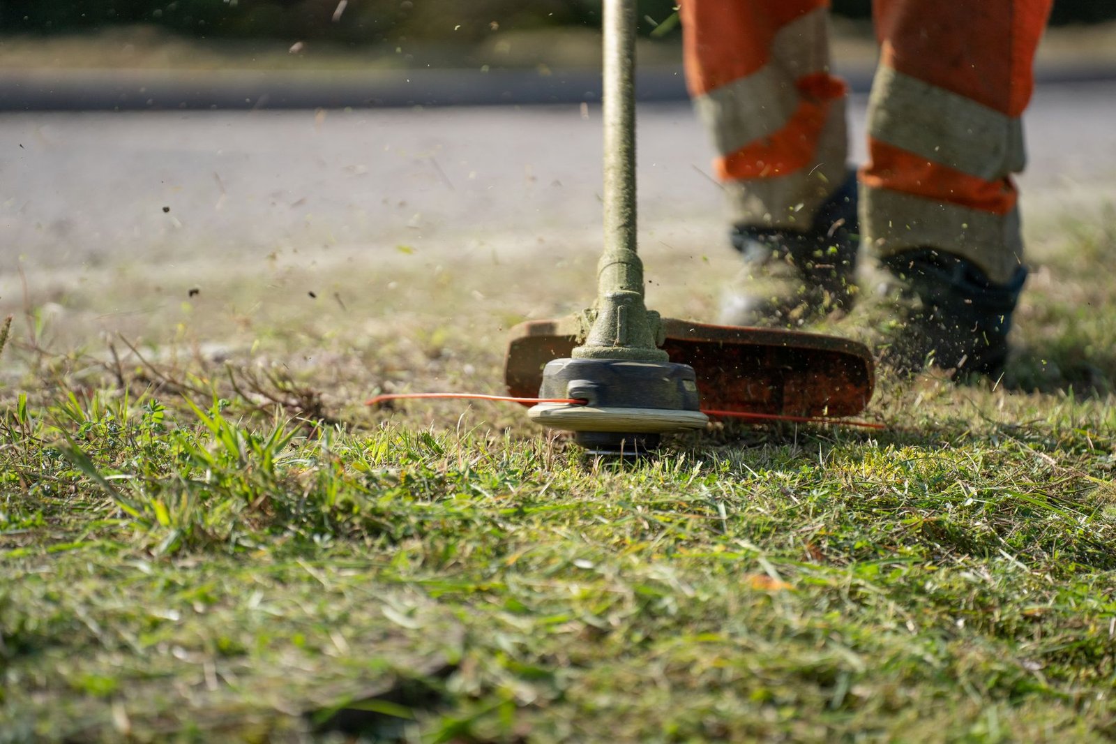 String trimmer cutting an unedged strip of lawn grass, the trimming job a flush paver mowing strip removes