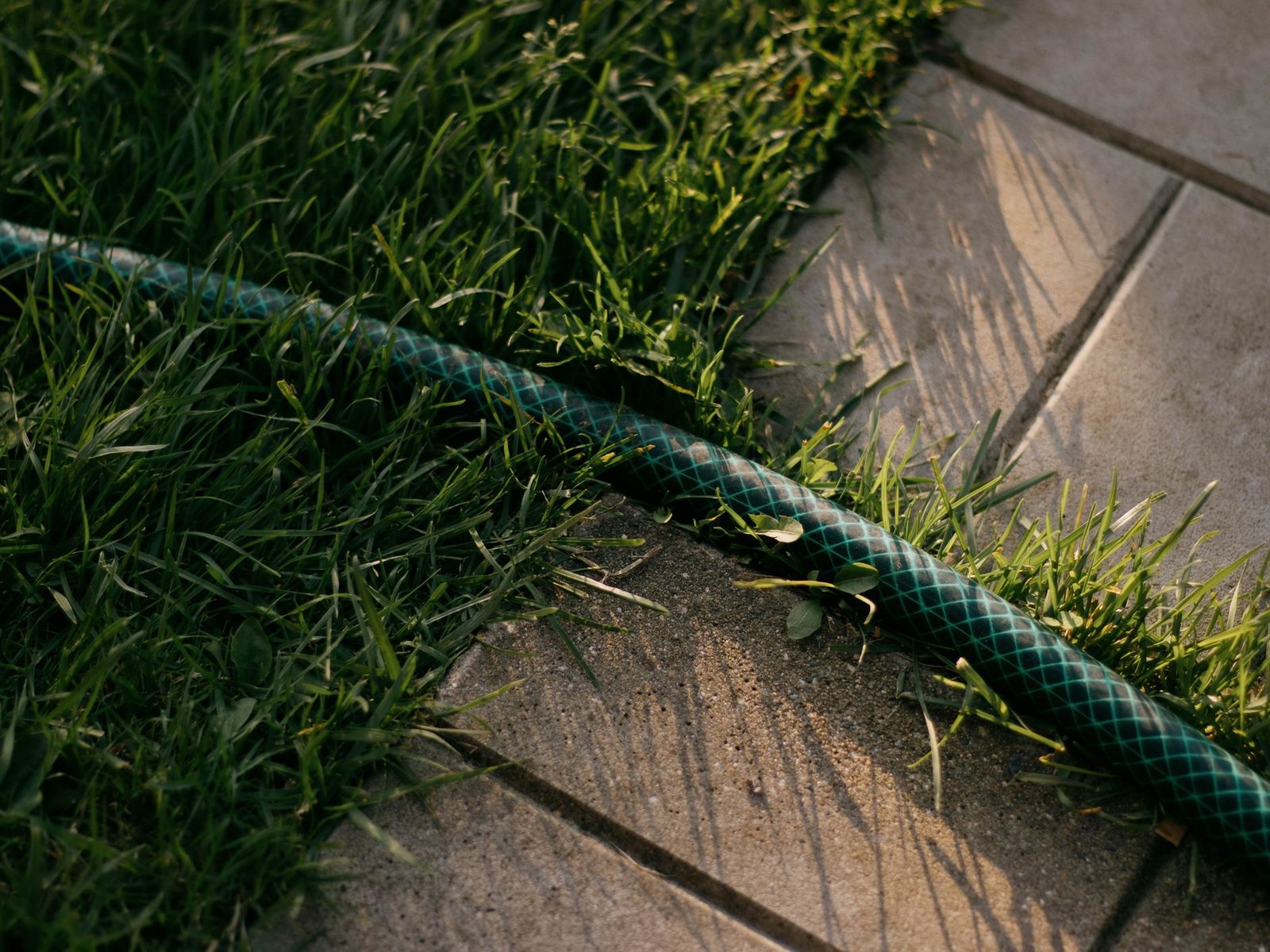 Flat pavers set flush beside a green lawn, with the grass running right up to the paver edge