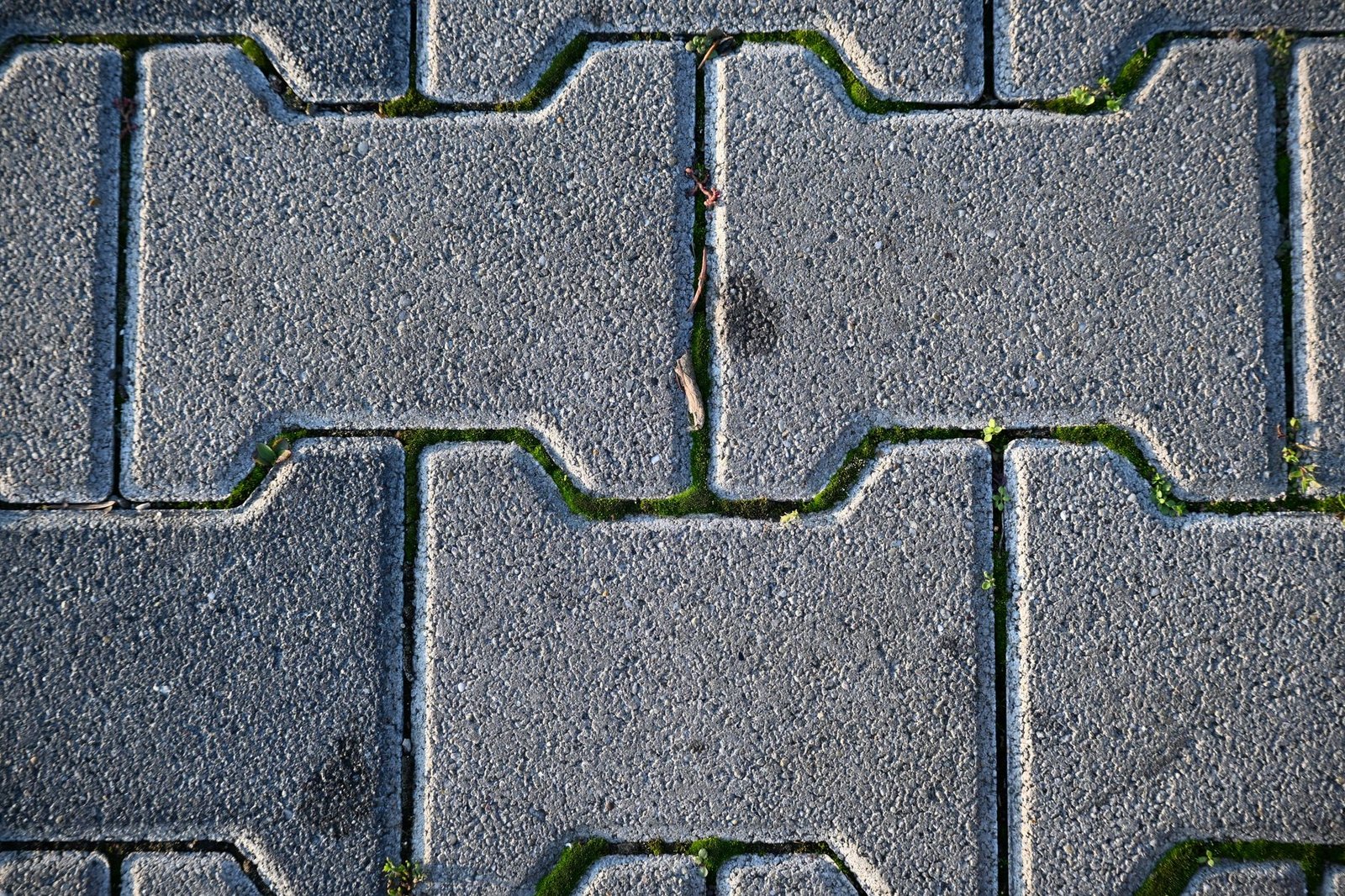 Close-up of interlocking gray concrete pavers with tight joints after paver installation