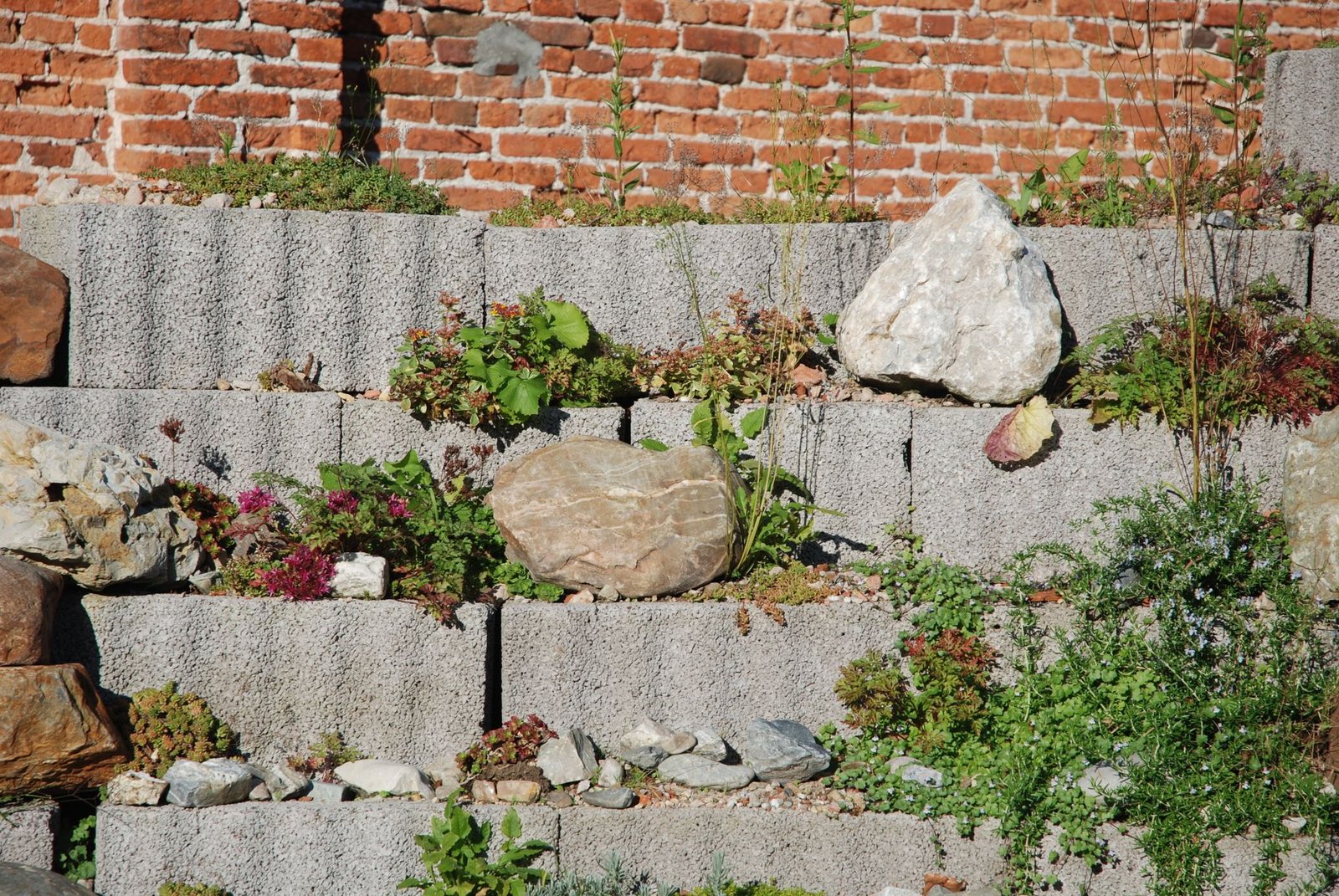 Terraced garden built from segmental concrete retaining wall blocks stepping up a slope against a brick wall