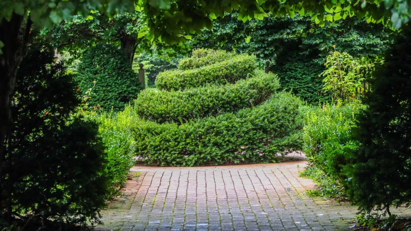 Red brick paver walkway curving through a green garden toward a spiral-clipped topiary shrub