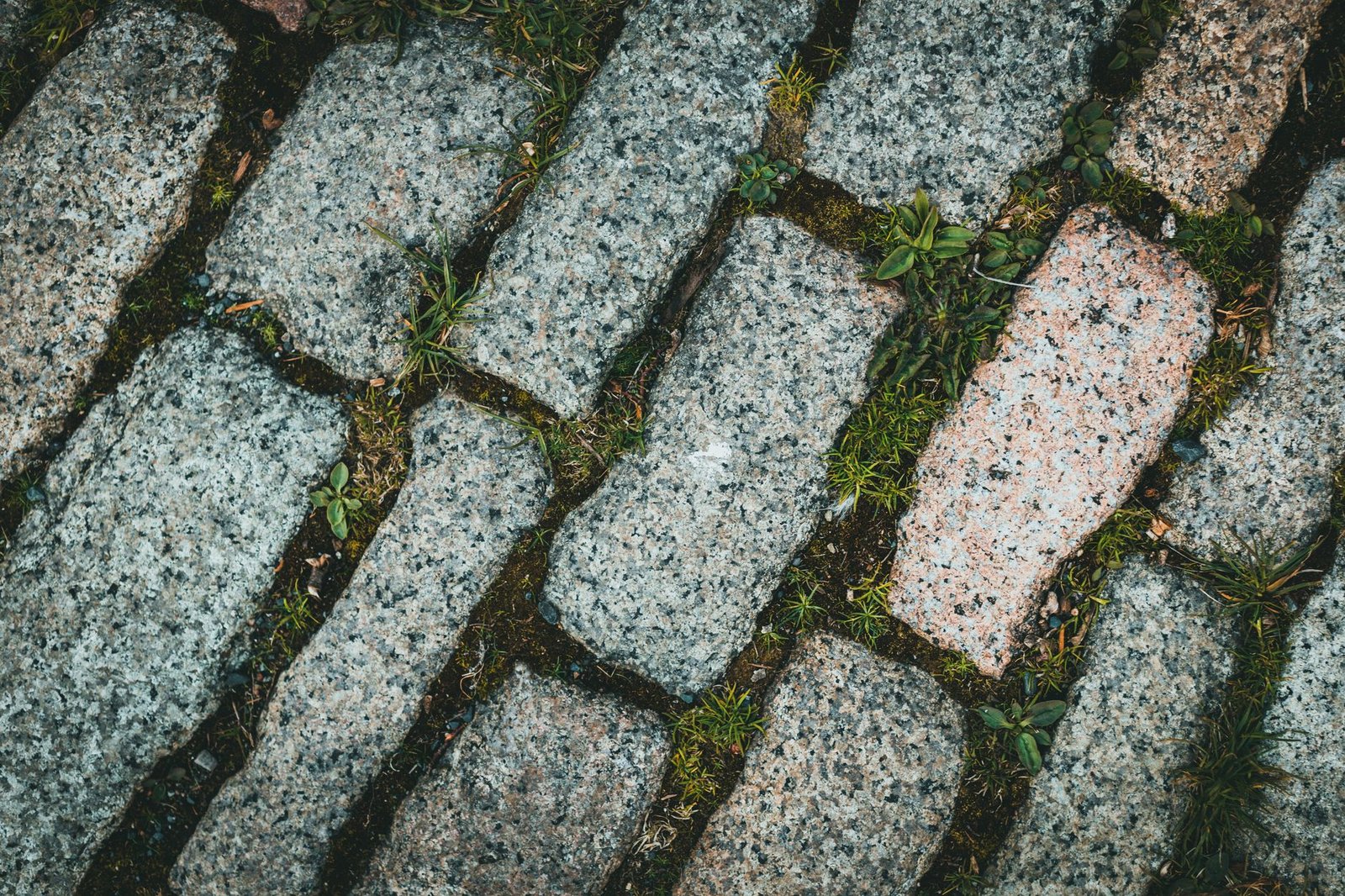 Close-up of rectangular granite setts in pink and gray tones laid in rows with grass and moss growing in the joints