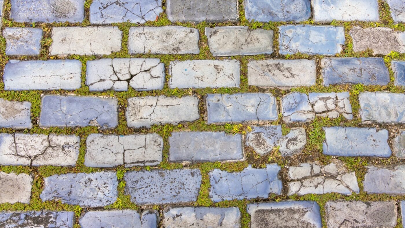 Old paving stones with open joints filled by moss and weeds after the joint sand has failed