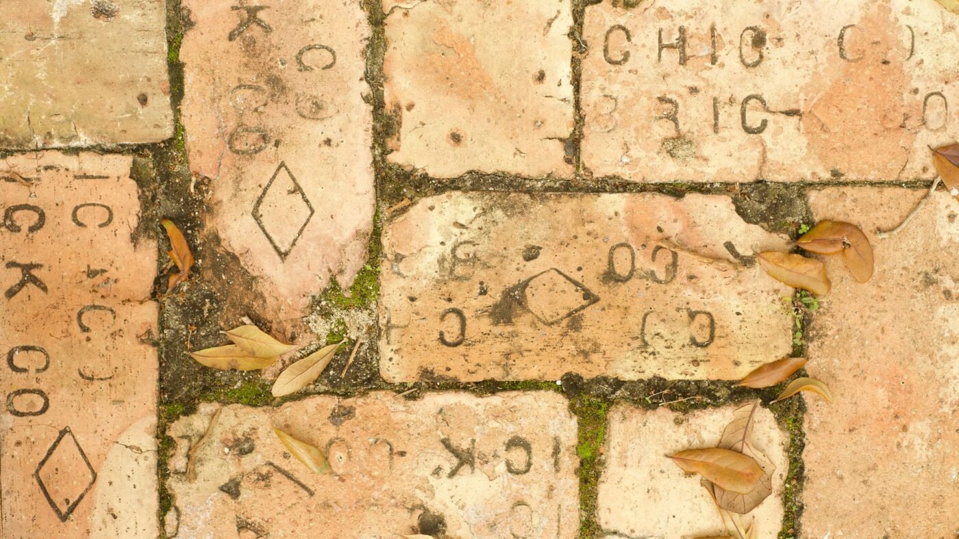Weathered clay brick pavers with moss, dirt and fallen leaves packed into the joints, ready for power washing