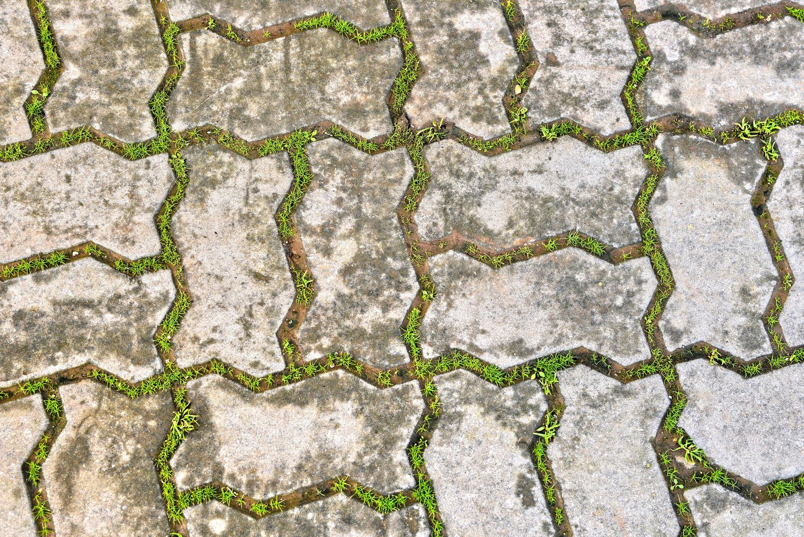 Concrete pavers with weeds and grass growing out of washed-out sand joints
