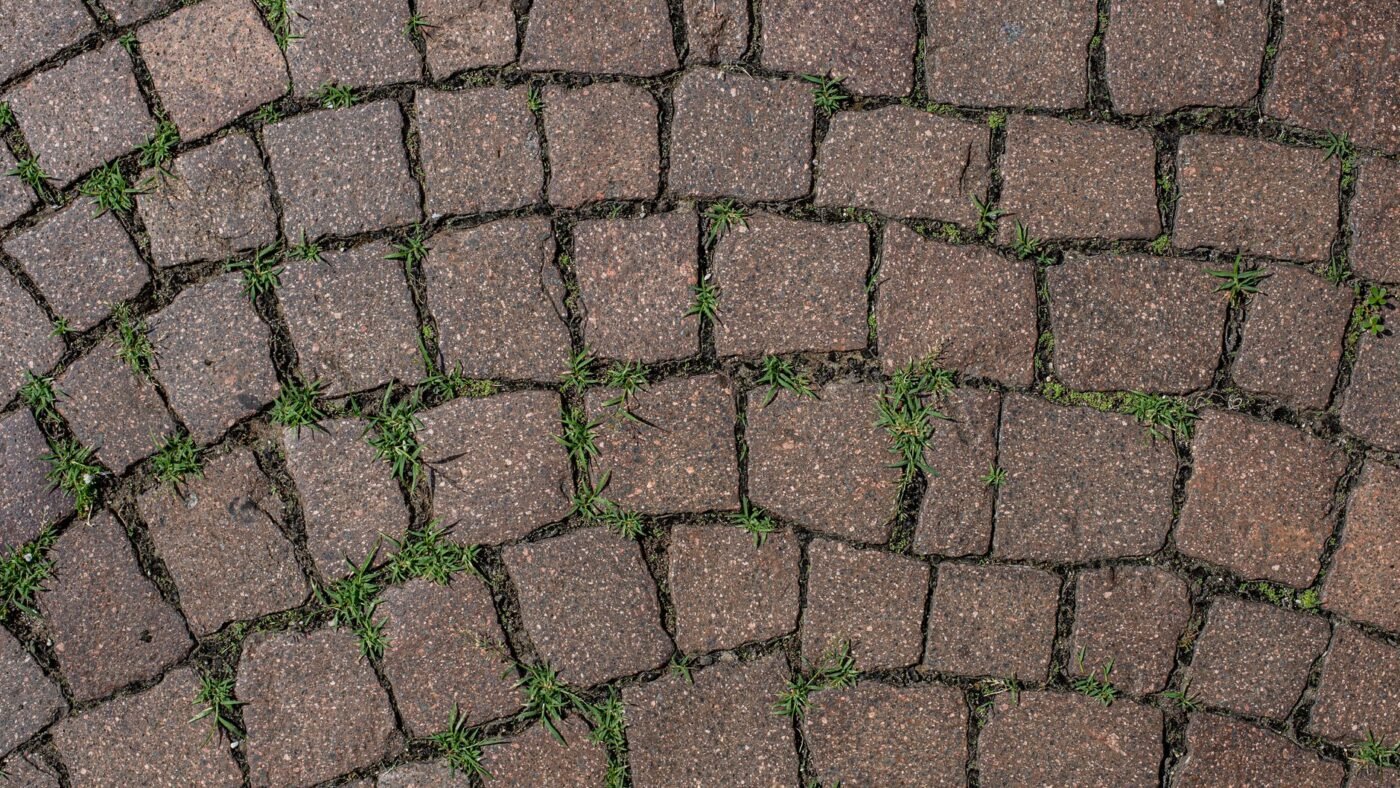 Worn reddish-brown tumbled pavers with rounded edges laid in an arc, with grass growing in the wide joints
